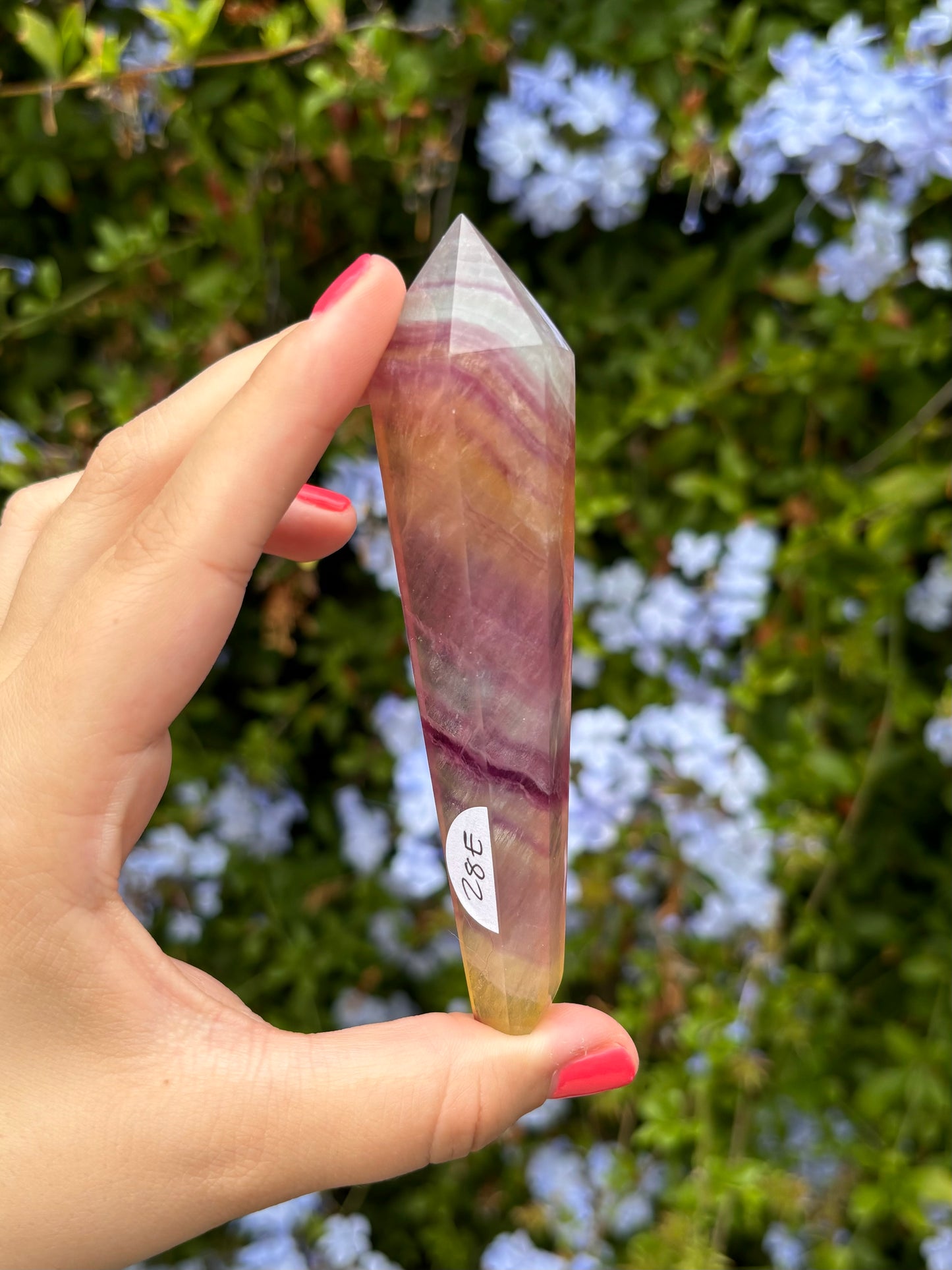 Candy Fluorite scepters