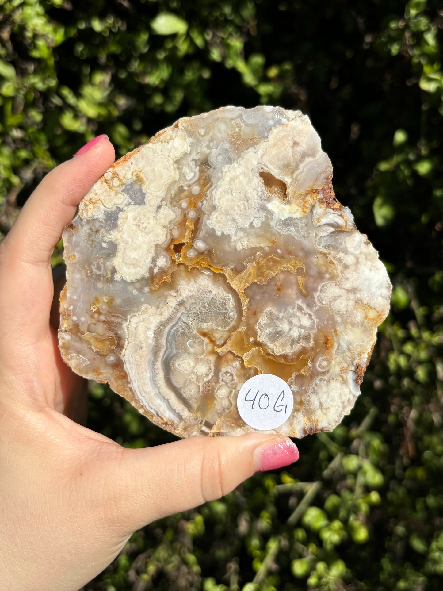 Flower Agate face polished slabs