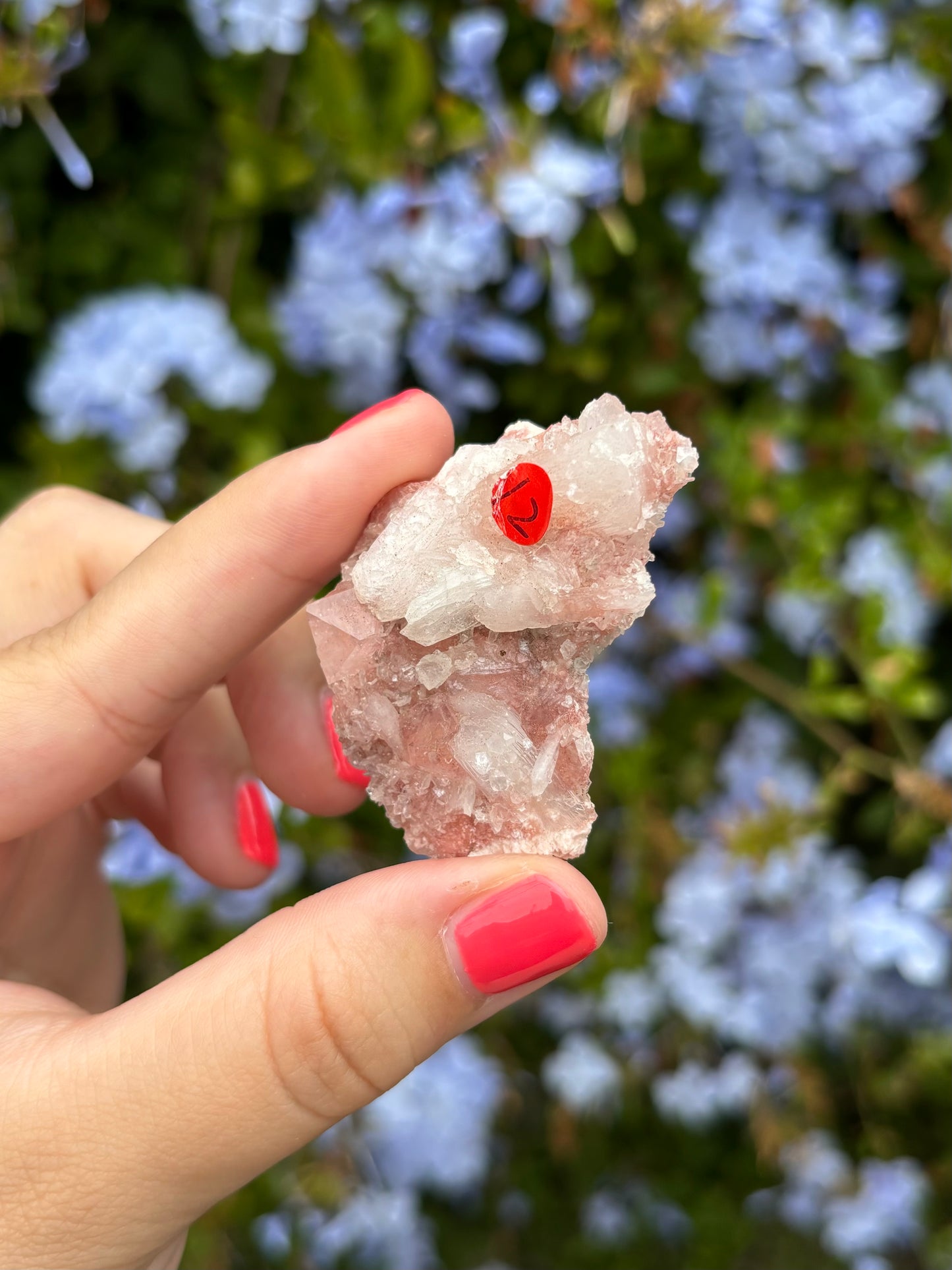 Pink Apophyllite clusters