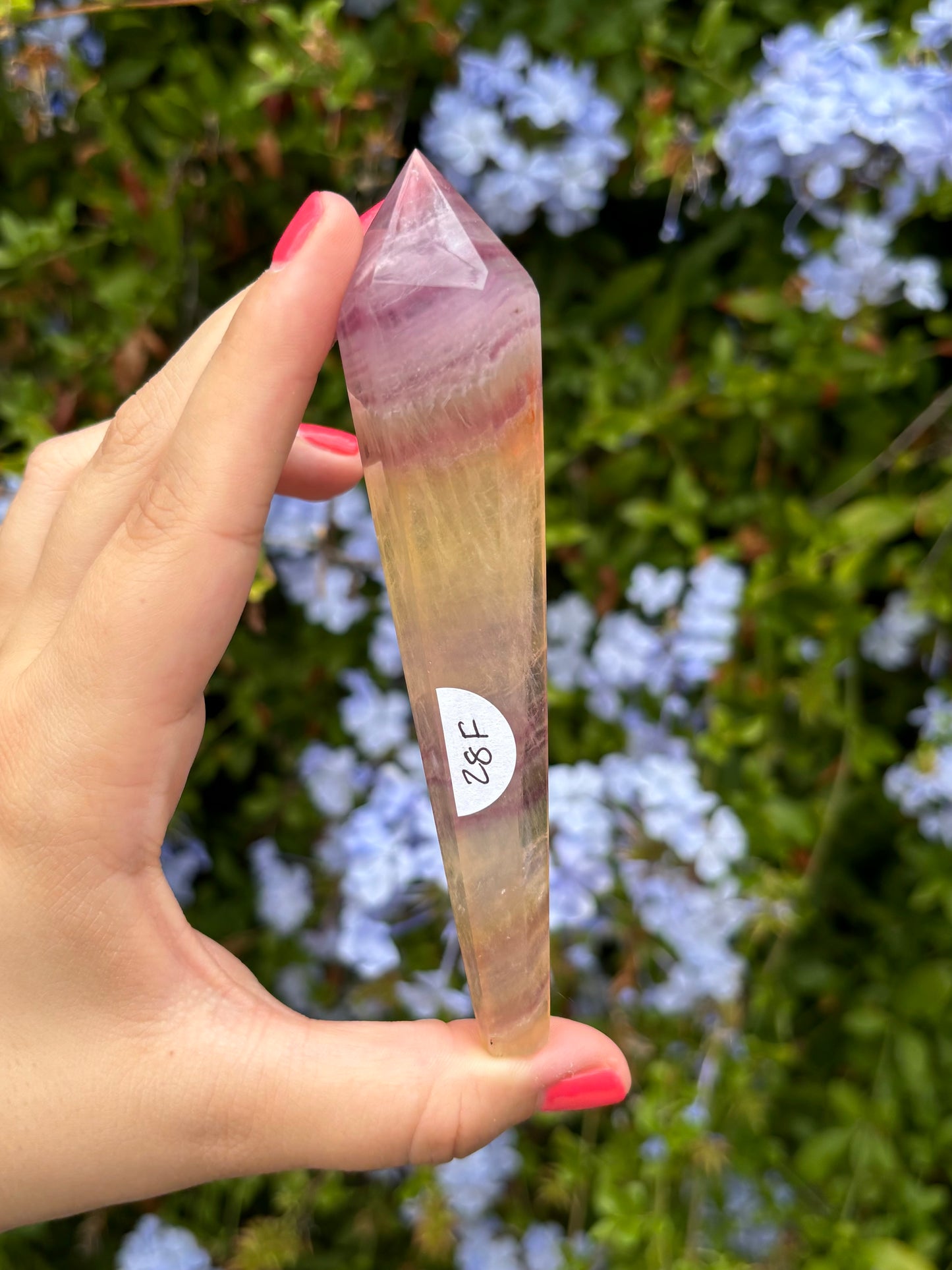 Candy Fluorite scepters