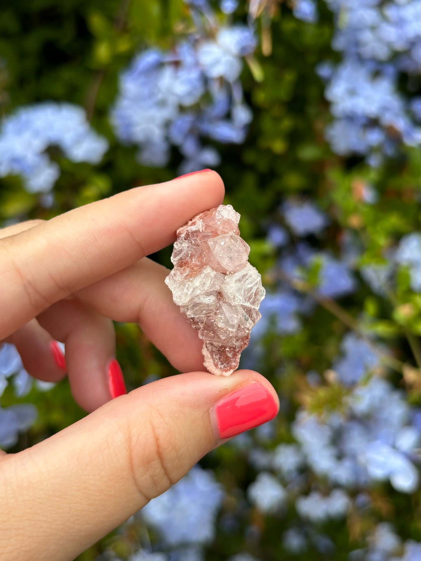 Mini Pink Apophyllite clusters