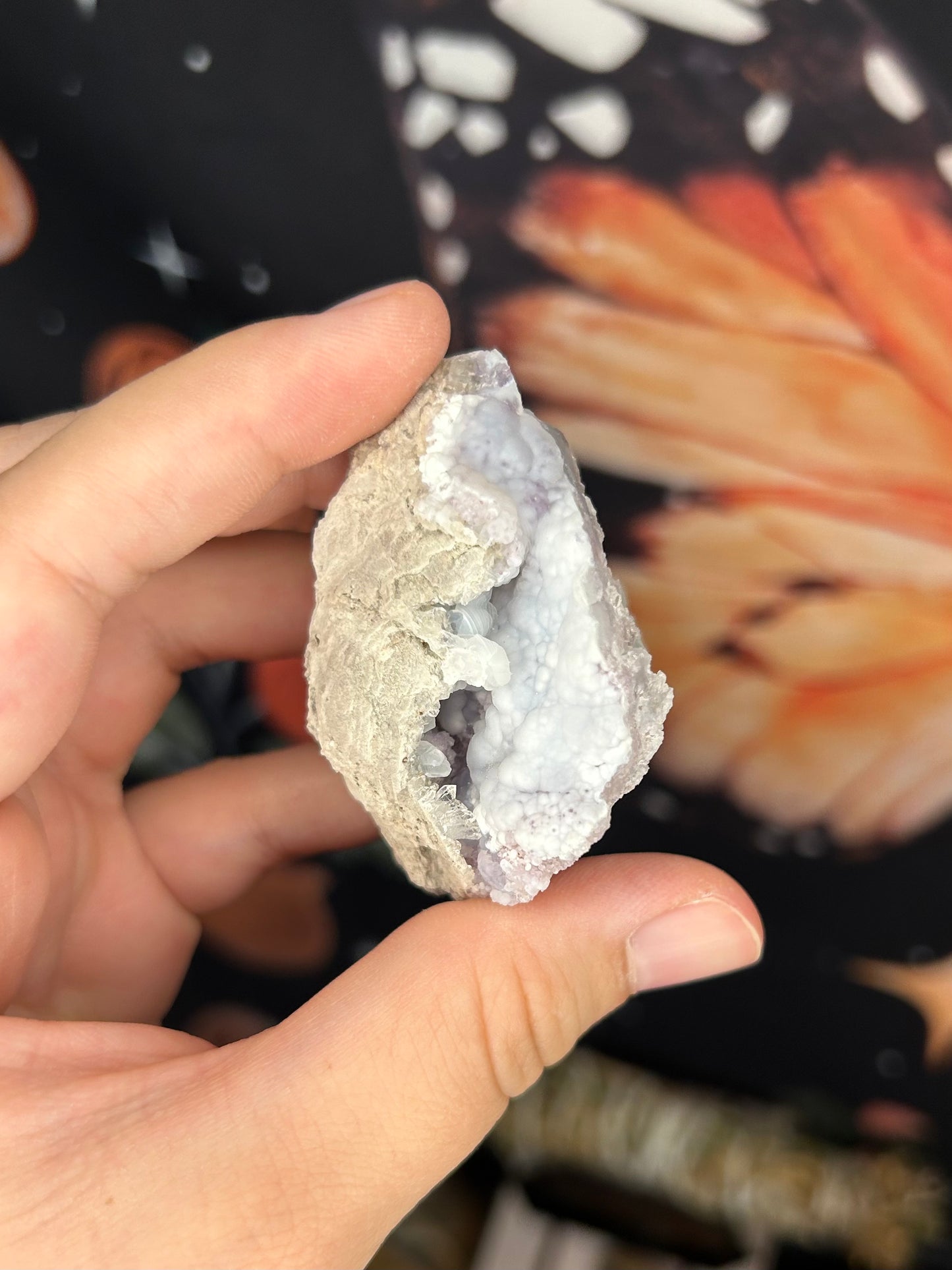 Spirit Flower Geodes