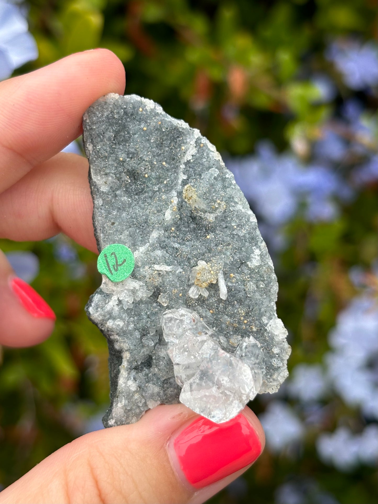 Black Chalcedony with Apophyllite clusters