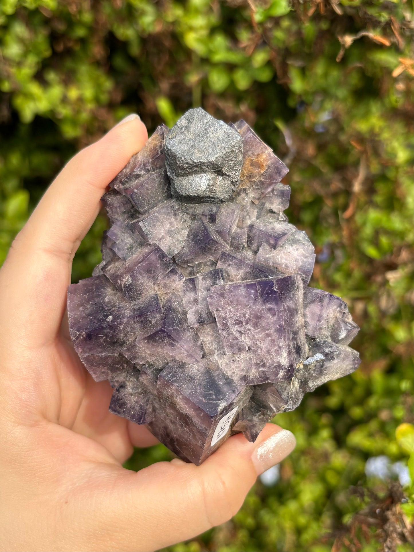 English Purple Fluorite A