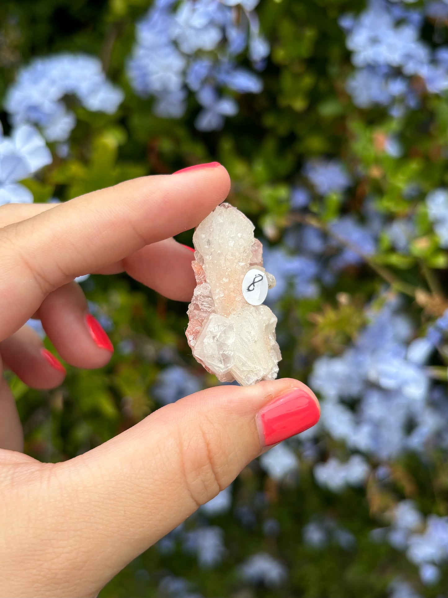 Pink Apophyllite clusters