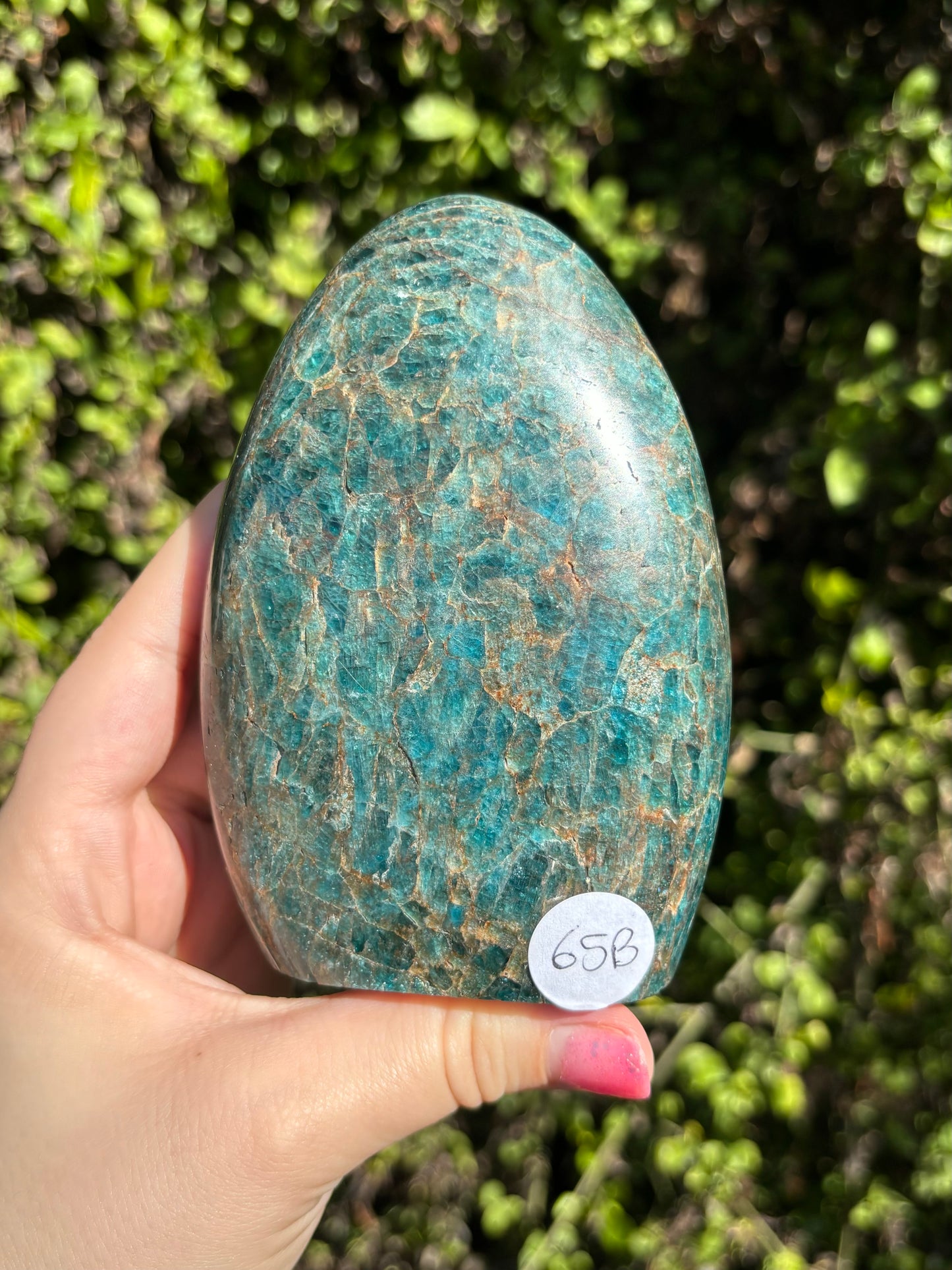 Blue Apatite Freeform B