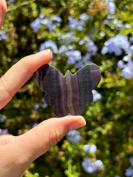 Fluorite butterflies