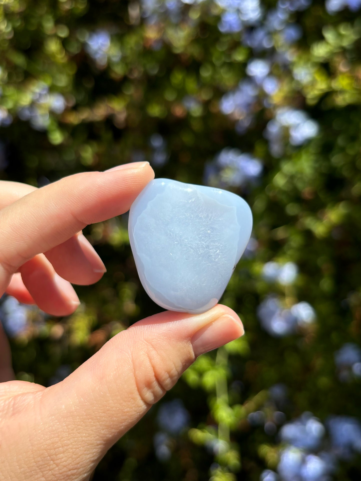 Blue Chalcedony freeforms