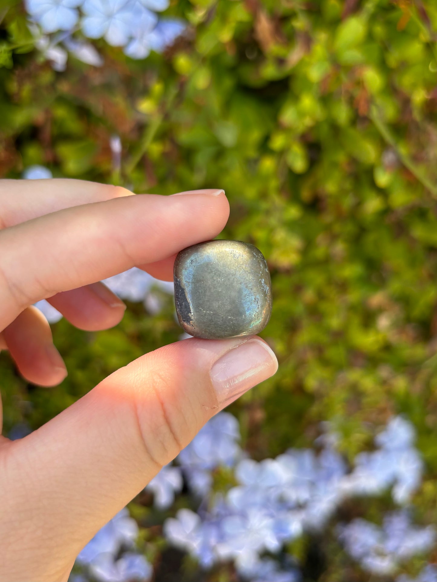 Pyrite tumbles