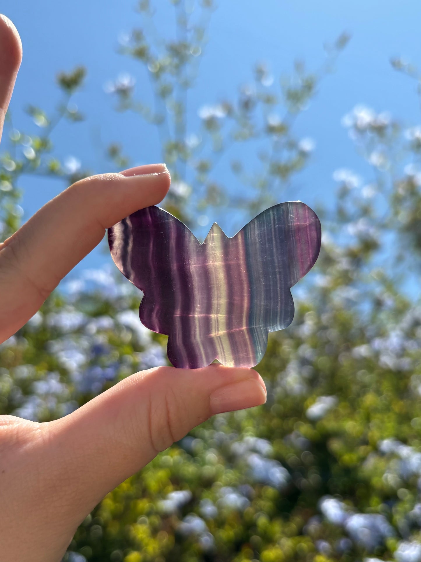 Fluorite butterflies