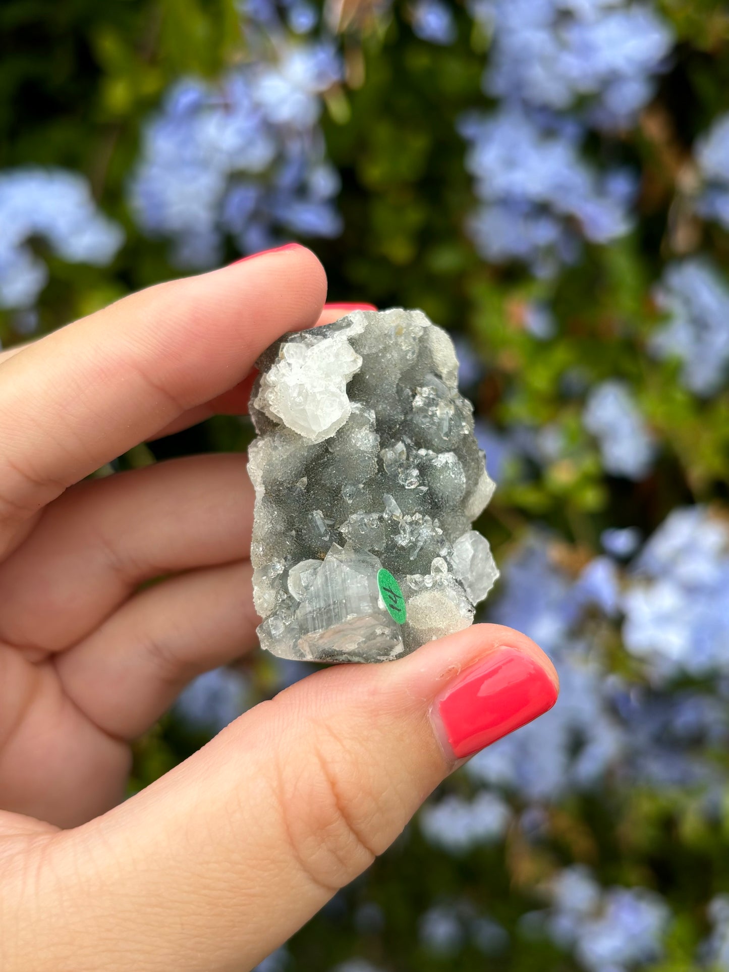 Black Chalcedony with Apophyllite clusters