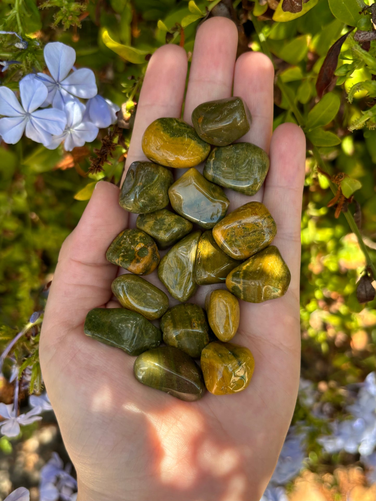 Ocean Jasper tumbles