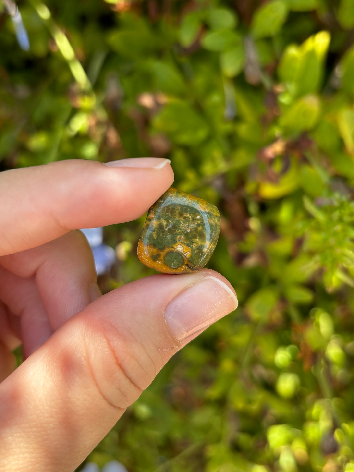 Ocean Jasper tumbles