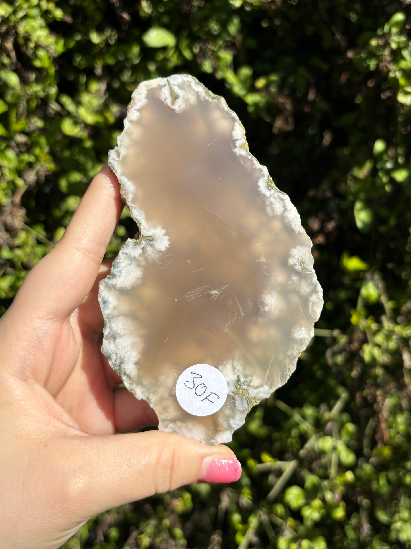 Flower Agate face polished slabs