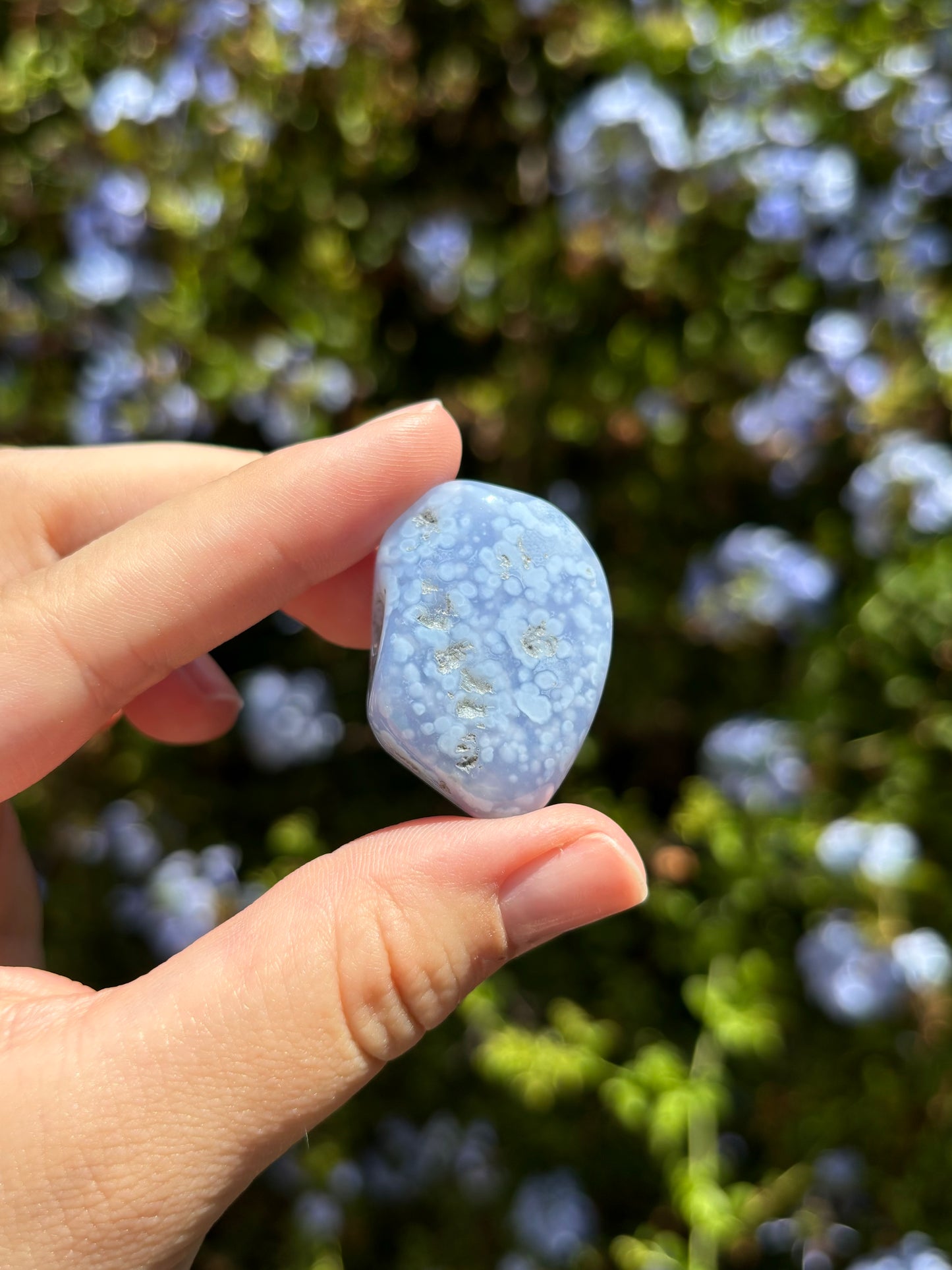 Blue Chalcedony freeforms