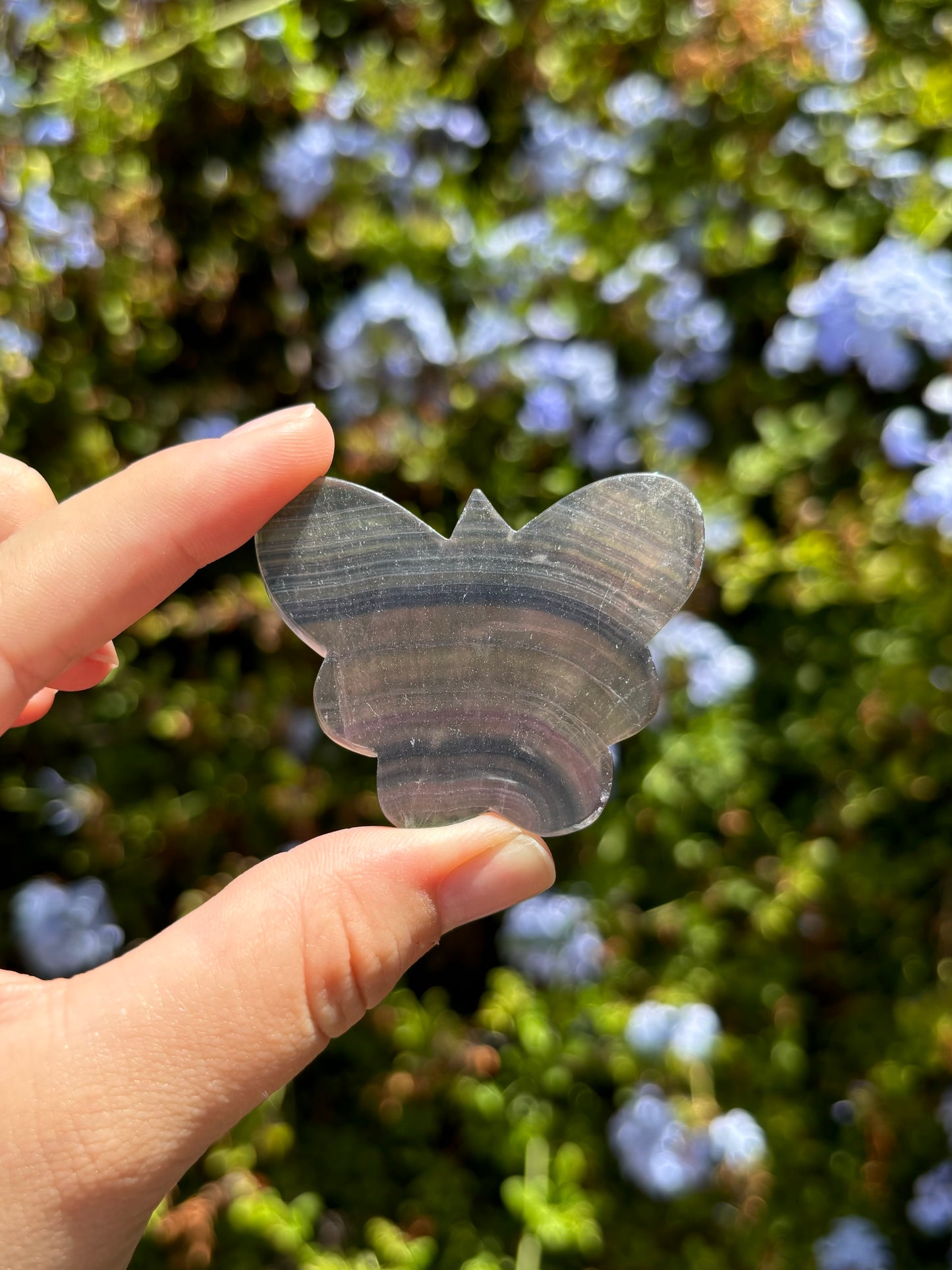 Fluorite butterflies