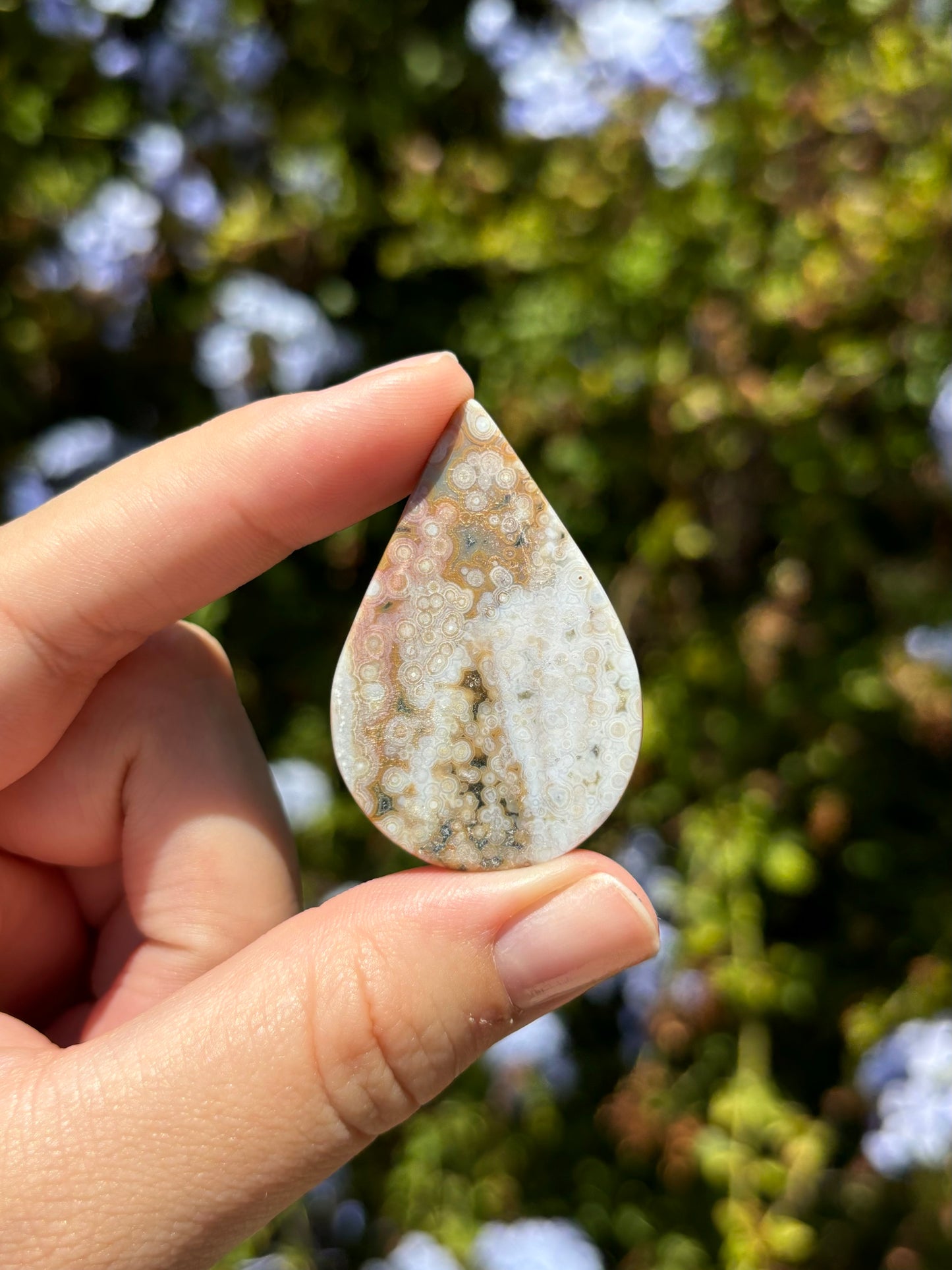 Ocean Jasper Cabochon