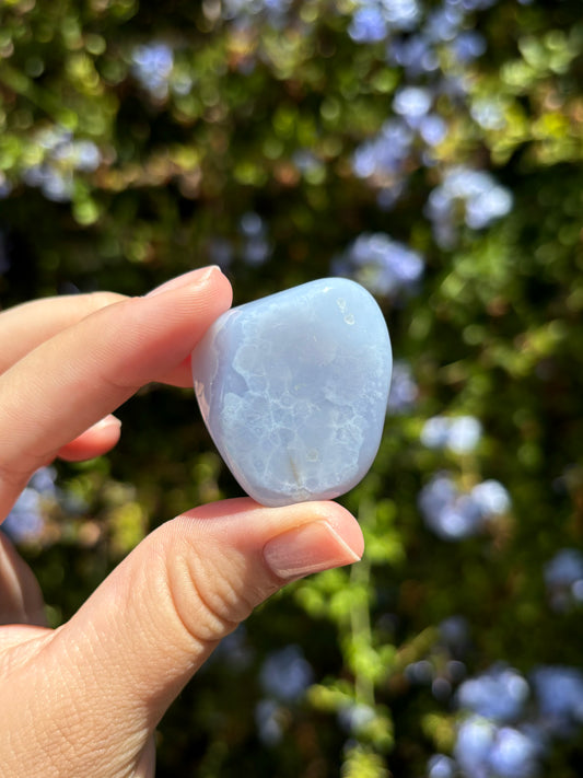 Blue Chalcedony freeforms