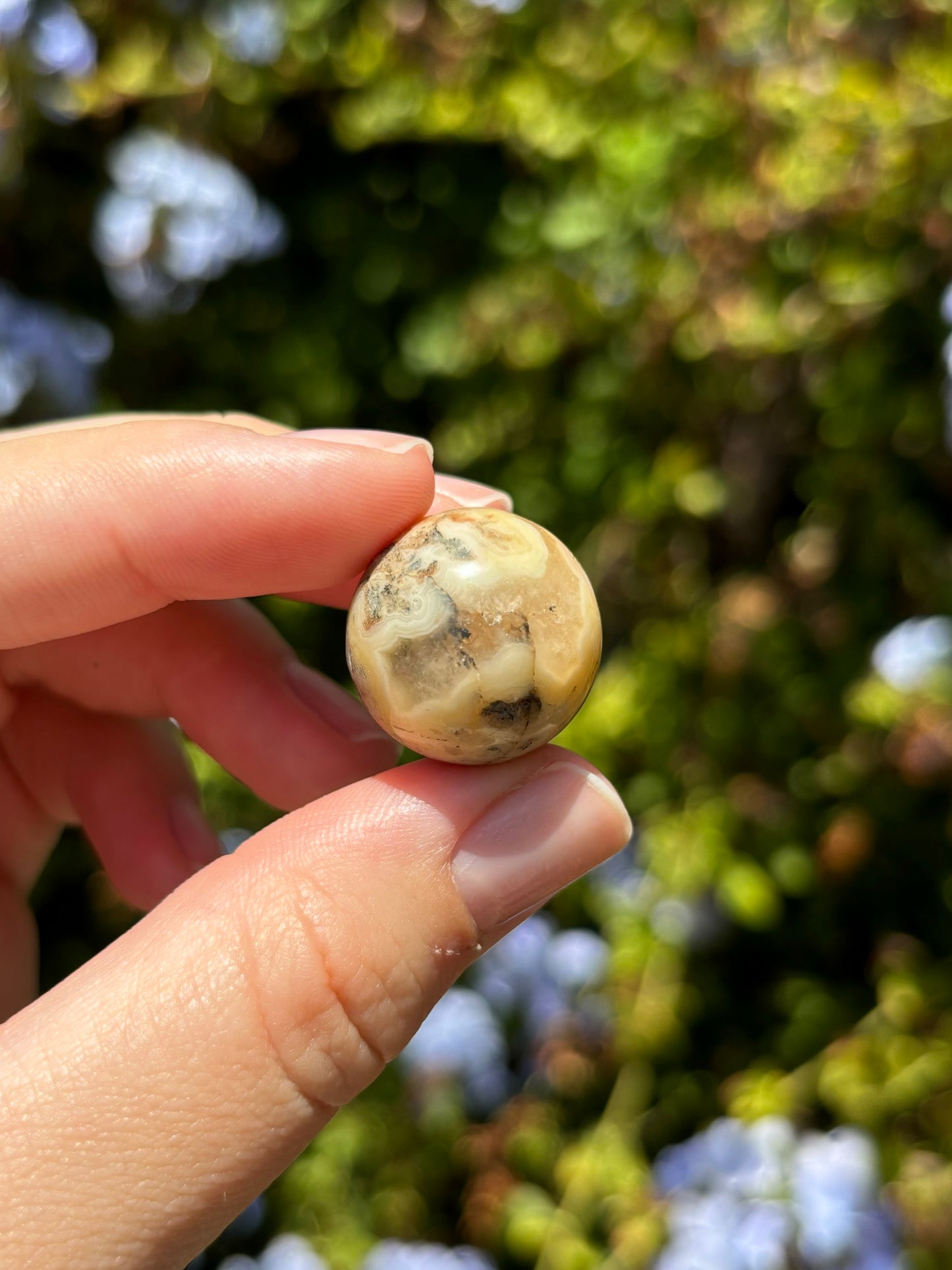 Crazy Lace Agate mini spheres