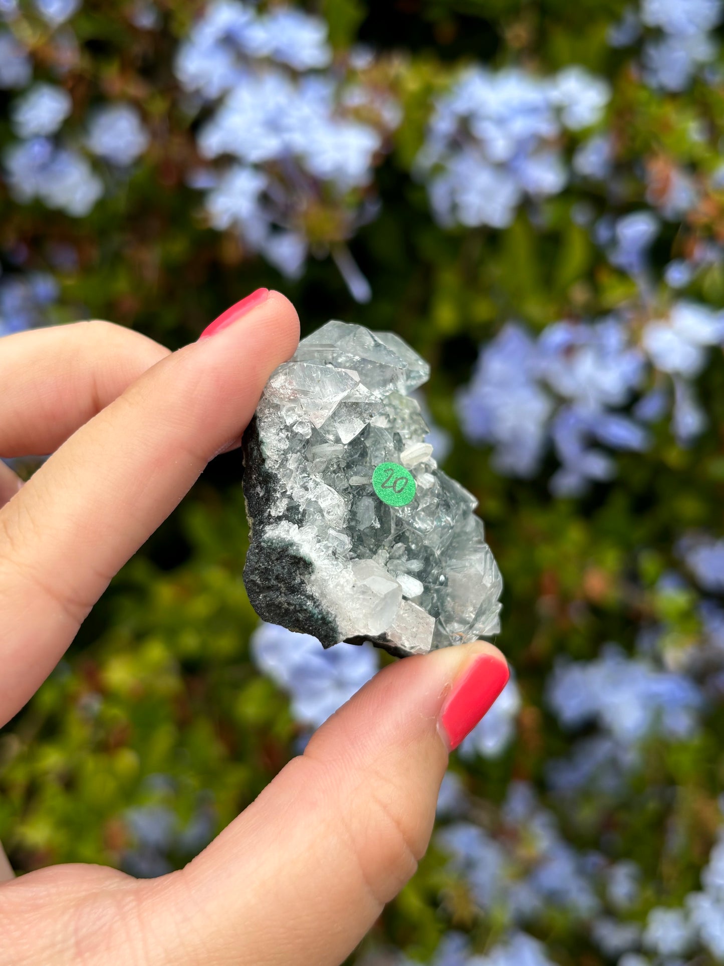 Black Chalcedony with Apophyllite clusters