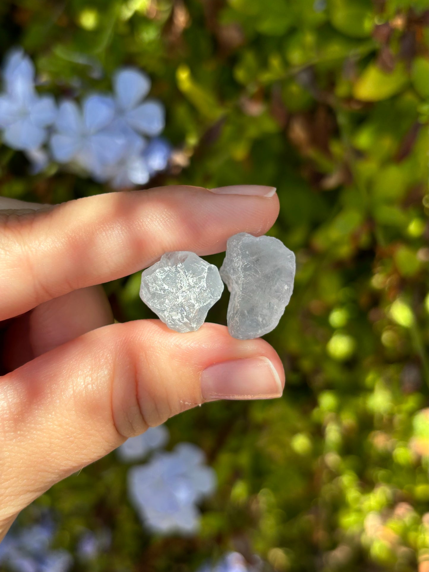 Raw Celestite