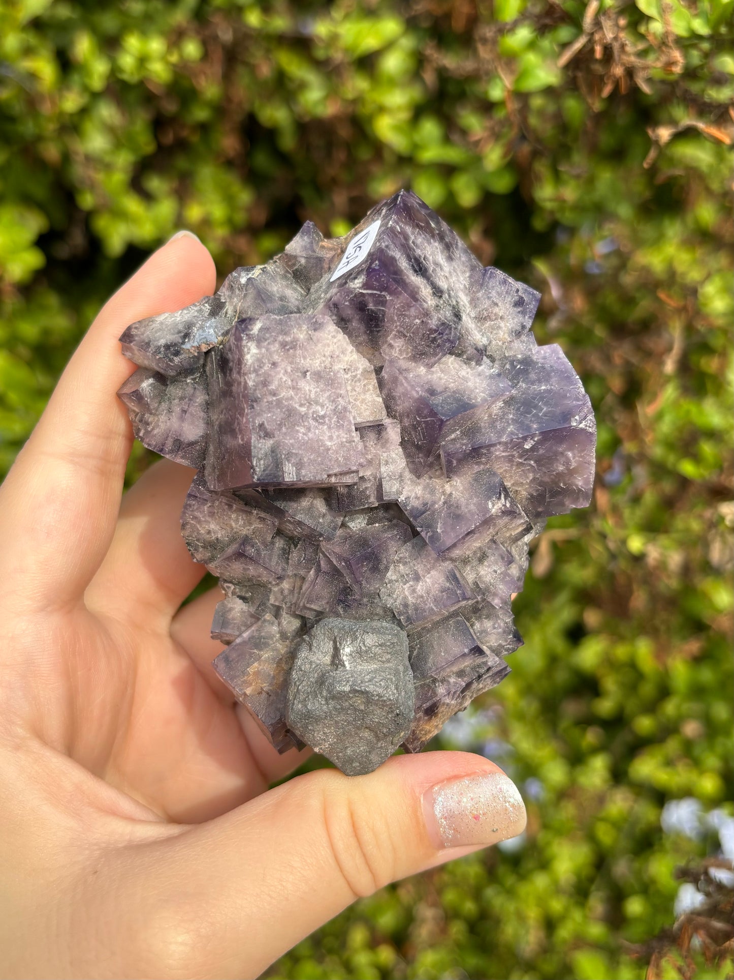 English Purple Fluorite A