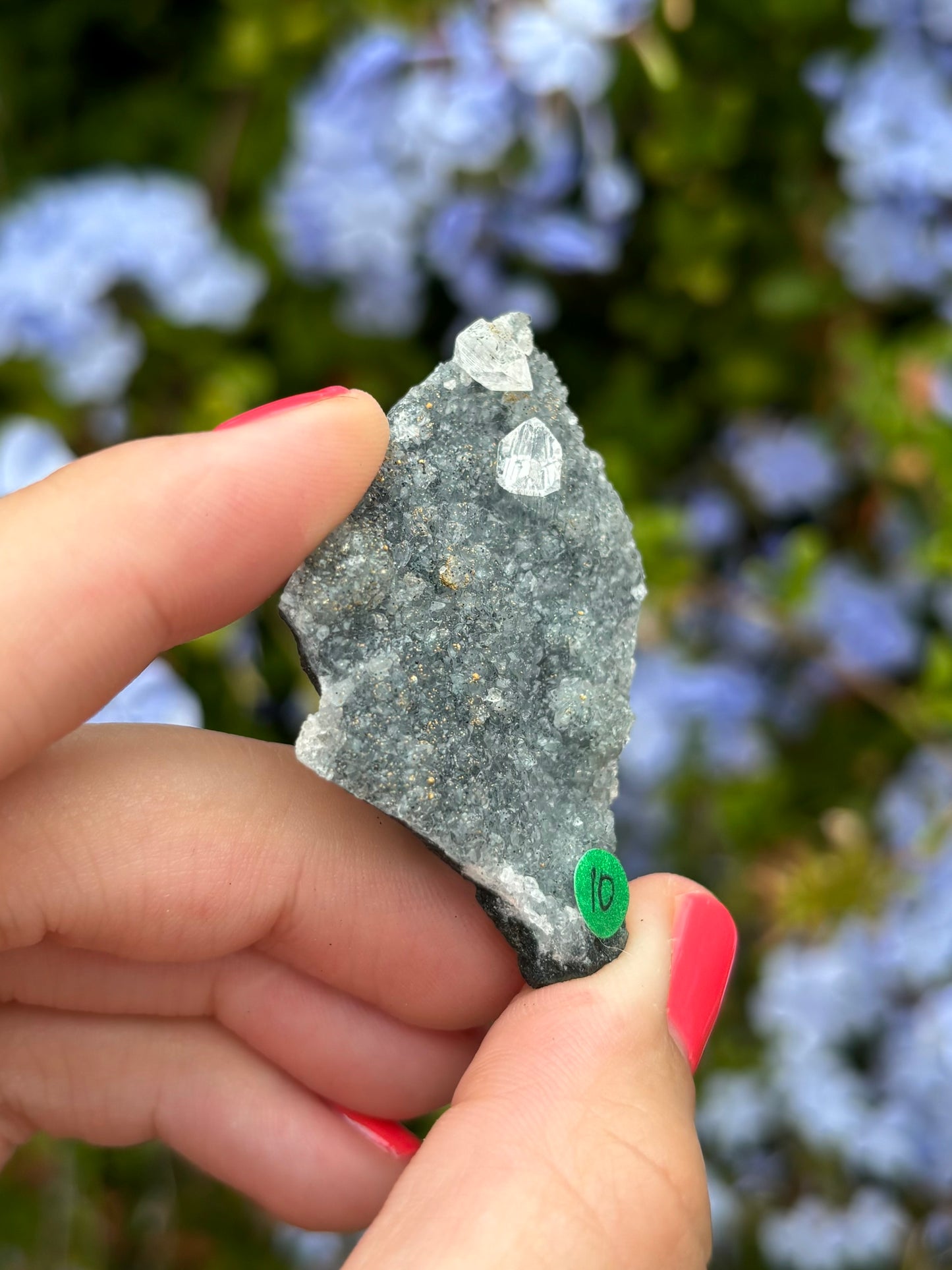 Black Chalcedony with Apophyllite clusters