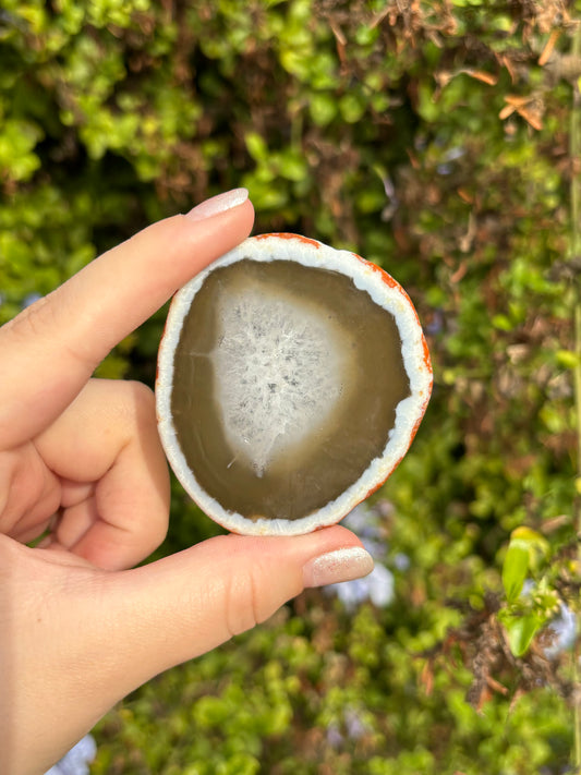 Mini Agate slices