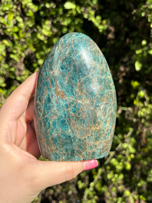 Blue Apatite Freeform B