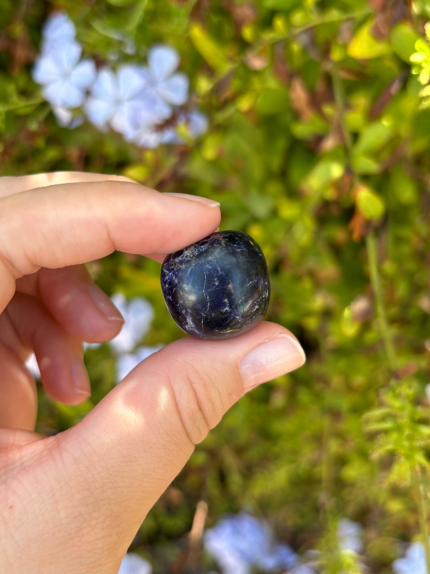 Sodalite tumbles