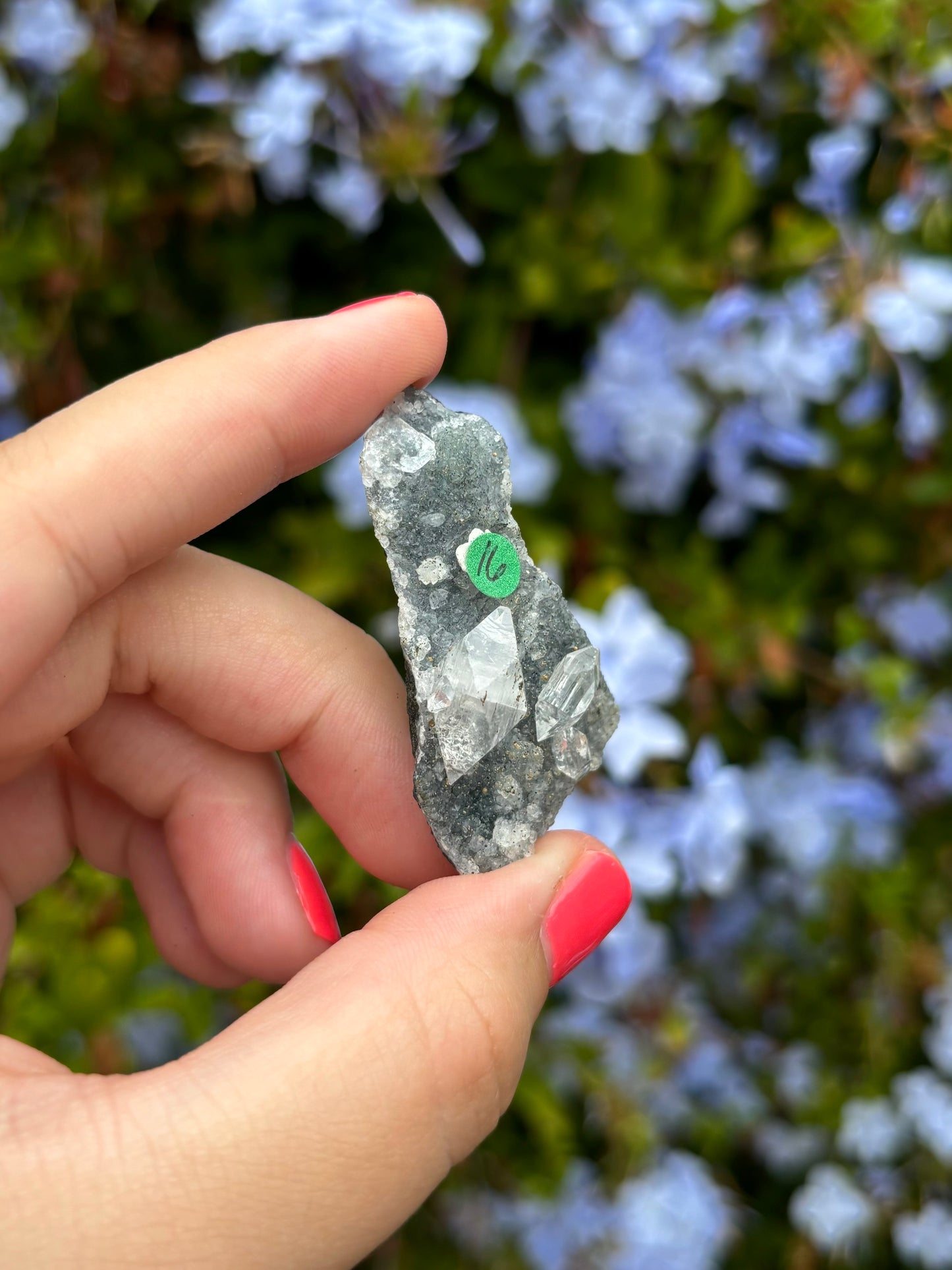 Black Chalcedony with Apophyllite clusters