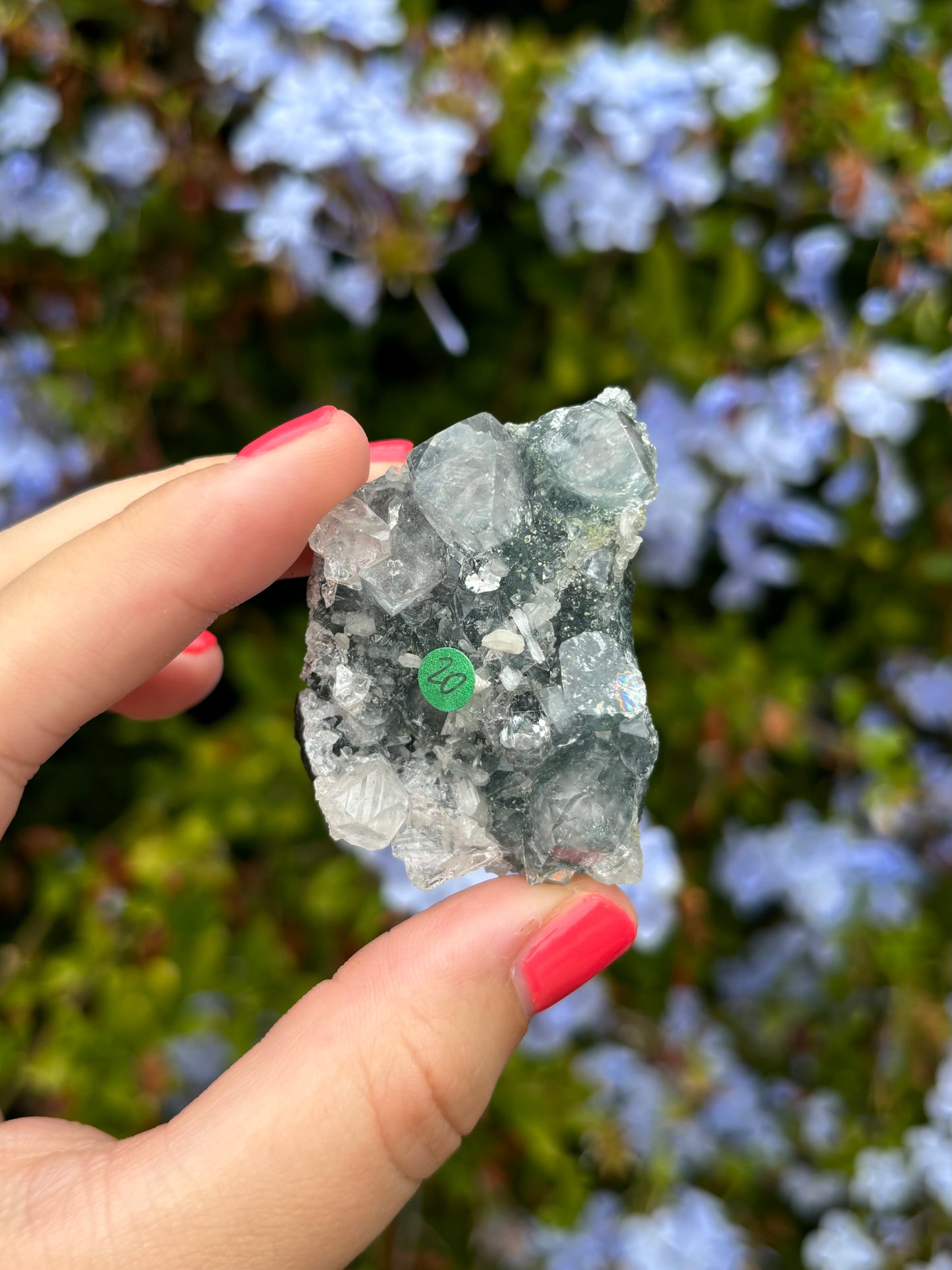 Black Chalcedony with Apophyllite clusters