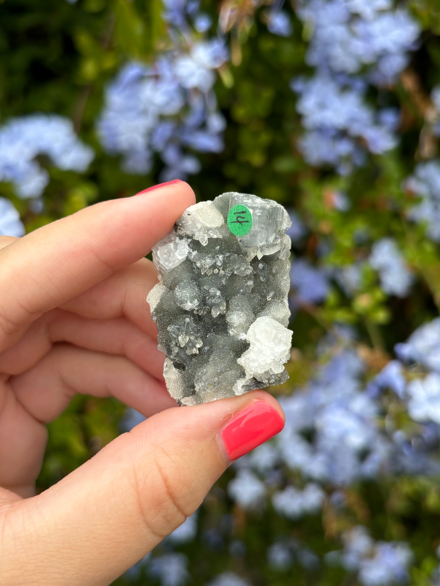 Black Chalcedony with Apophyllite clusters