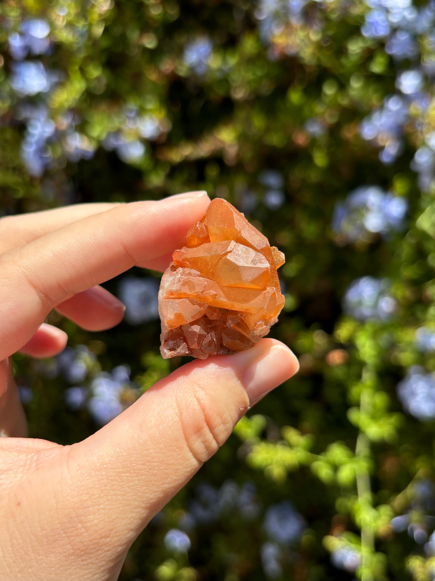 Imperfect Tangerine Quartz clusters