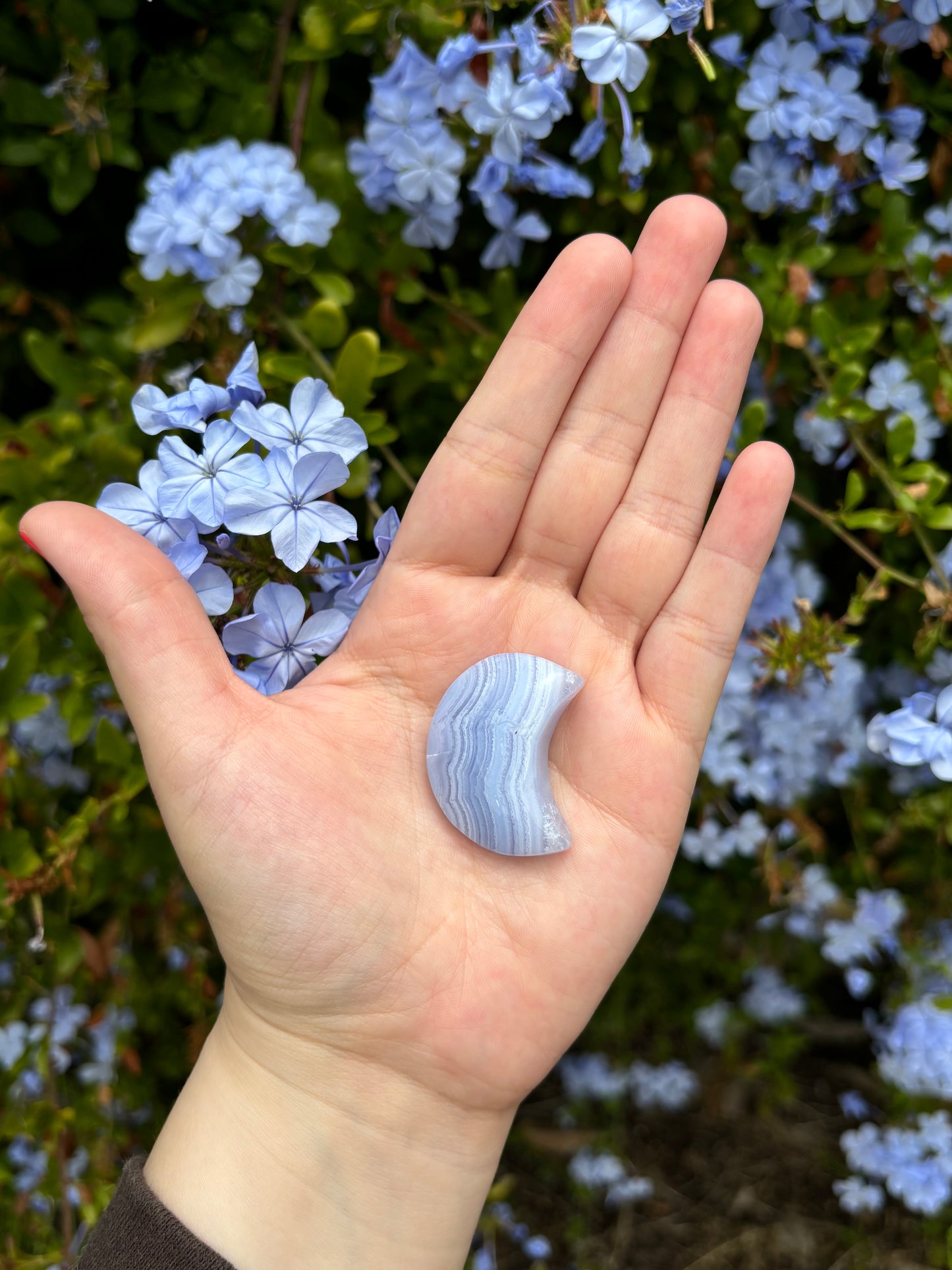 Blue Lace Agate moons