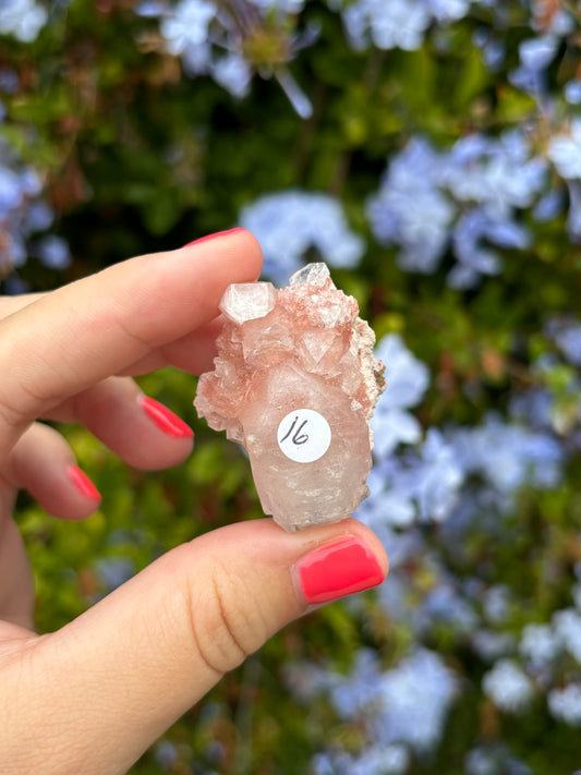 Pink Apophyllite clusters