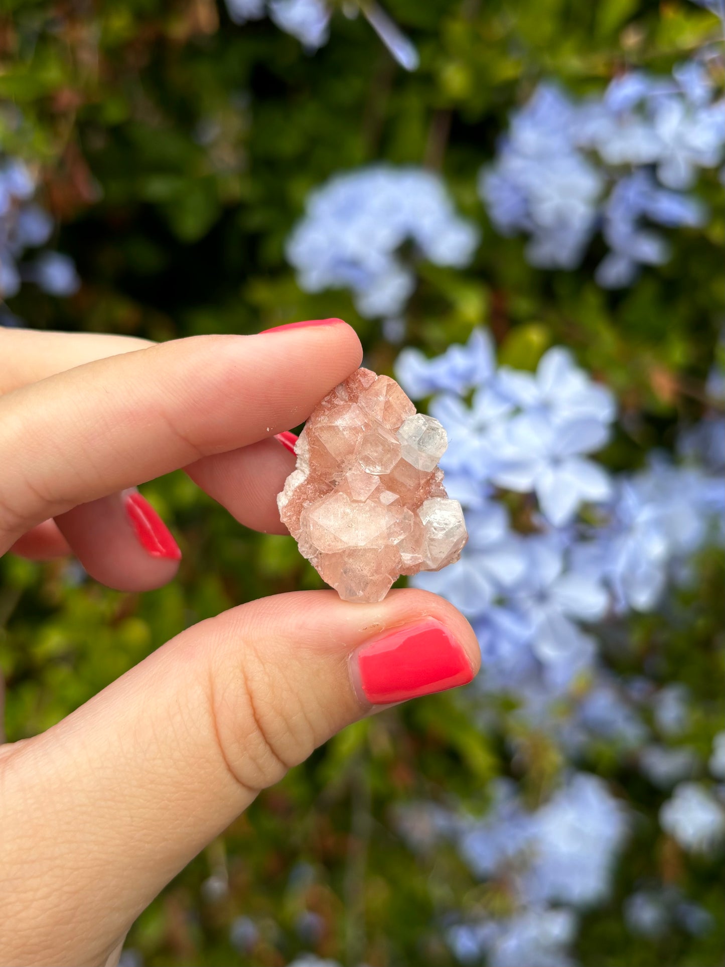 Mini Pink Apophyllite clusters