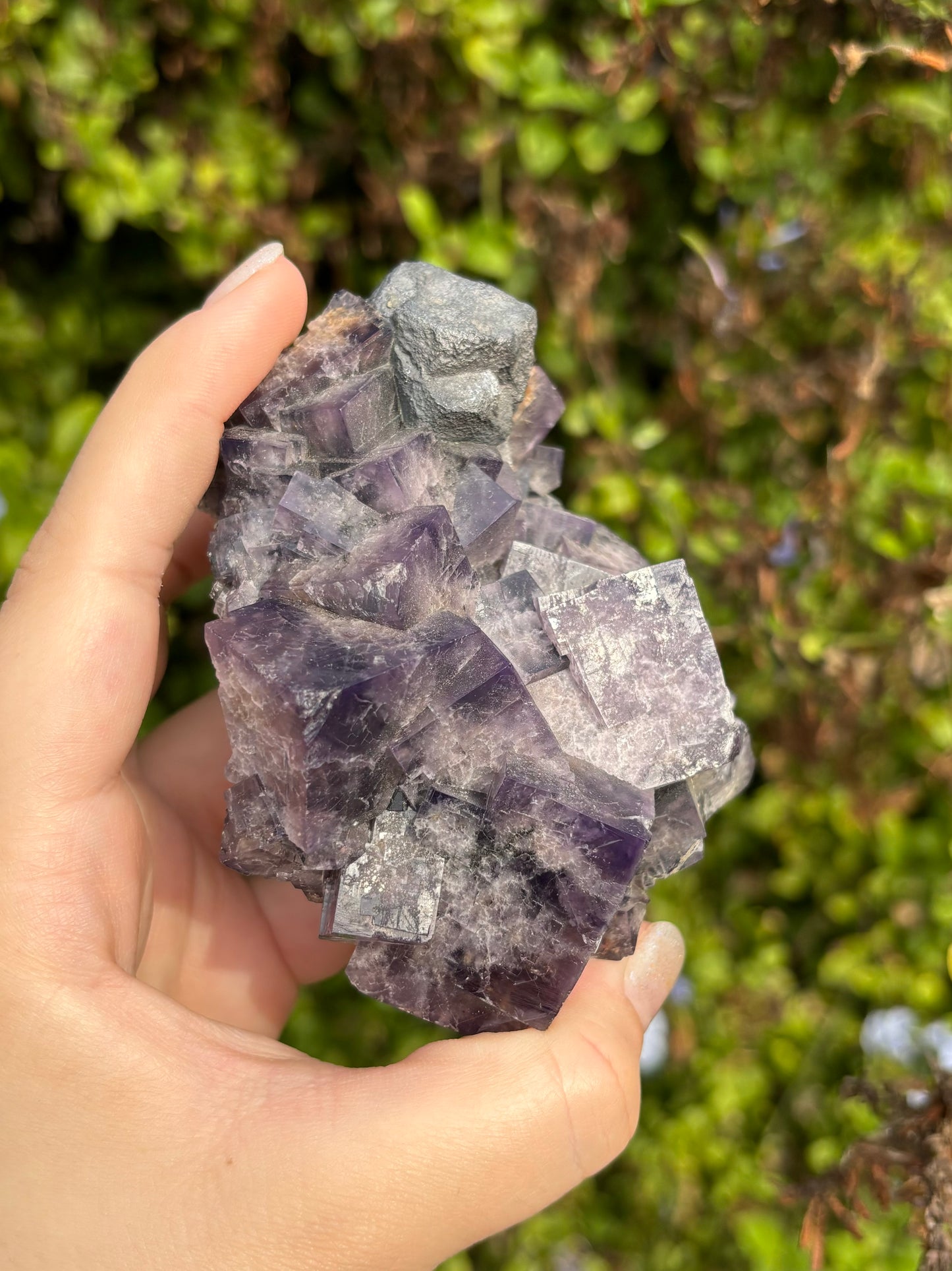 English Purple Fluorite A