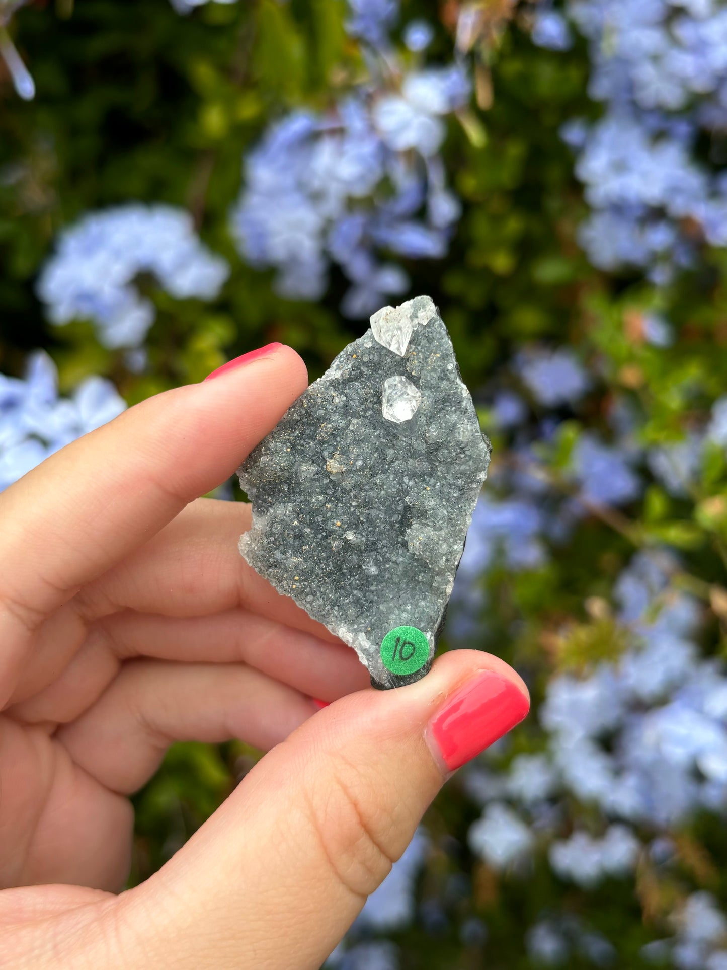 Black Chalcedony with Apophyllite clusters