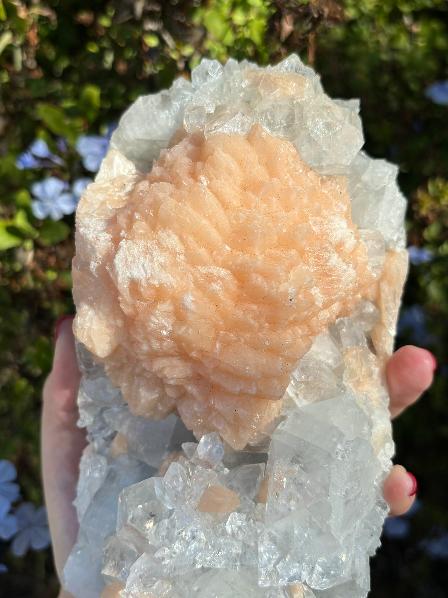 Diamond Apophyllite with Peach Stilbite A