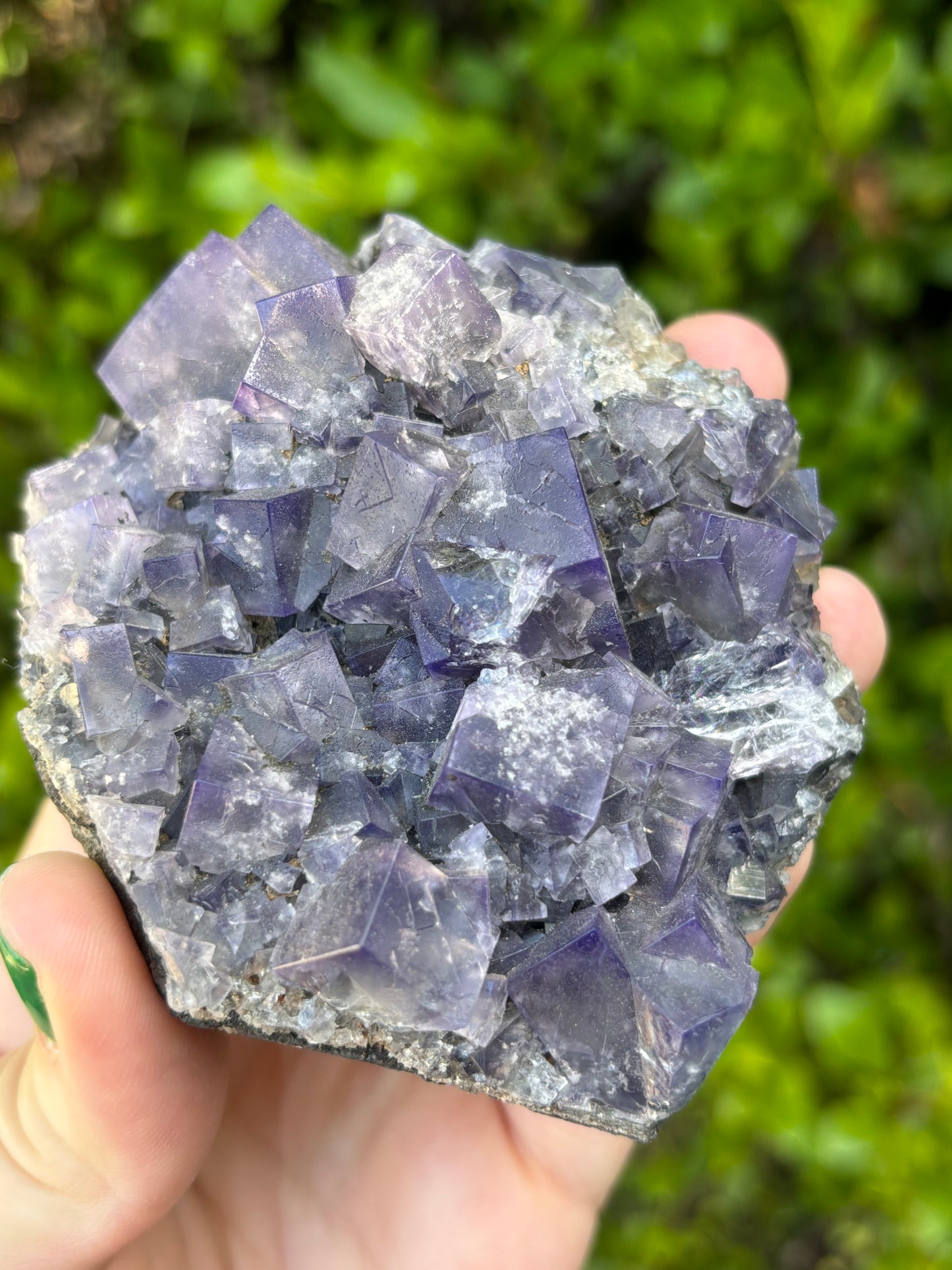 English Cubic Fluorite C