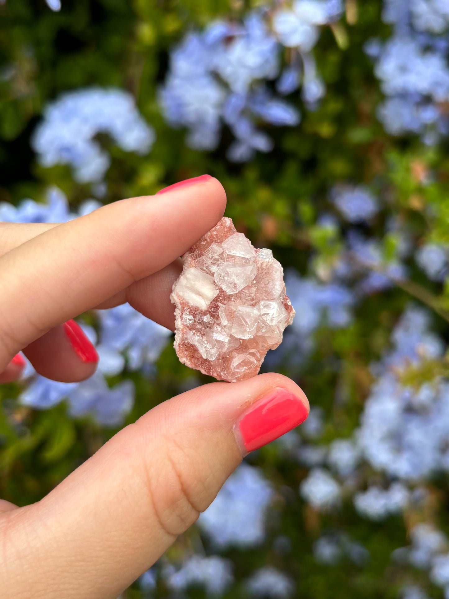 Mini Pink Apophyllite clusters