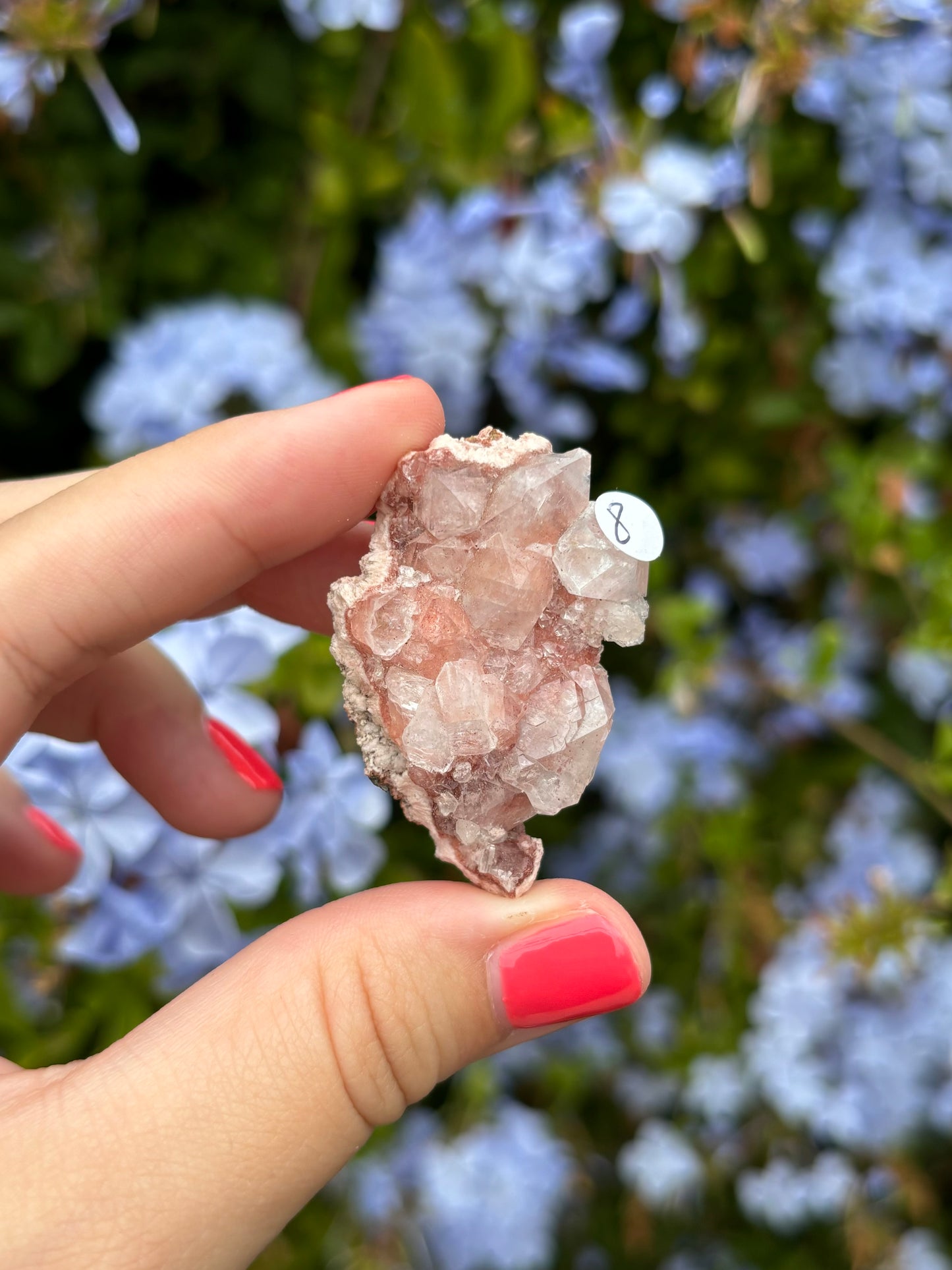 Pink Apophyllite clusters