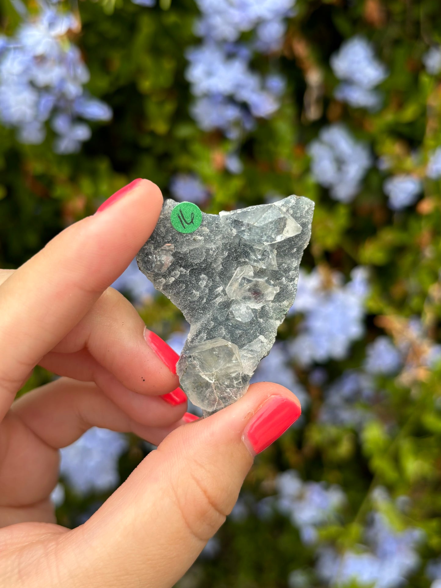 Black Chalcedony with Apophyllite clusters