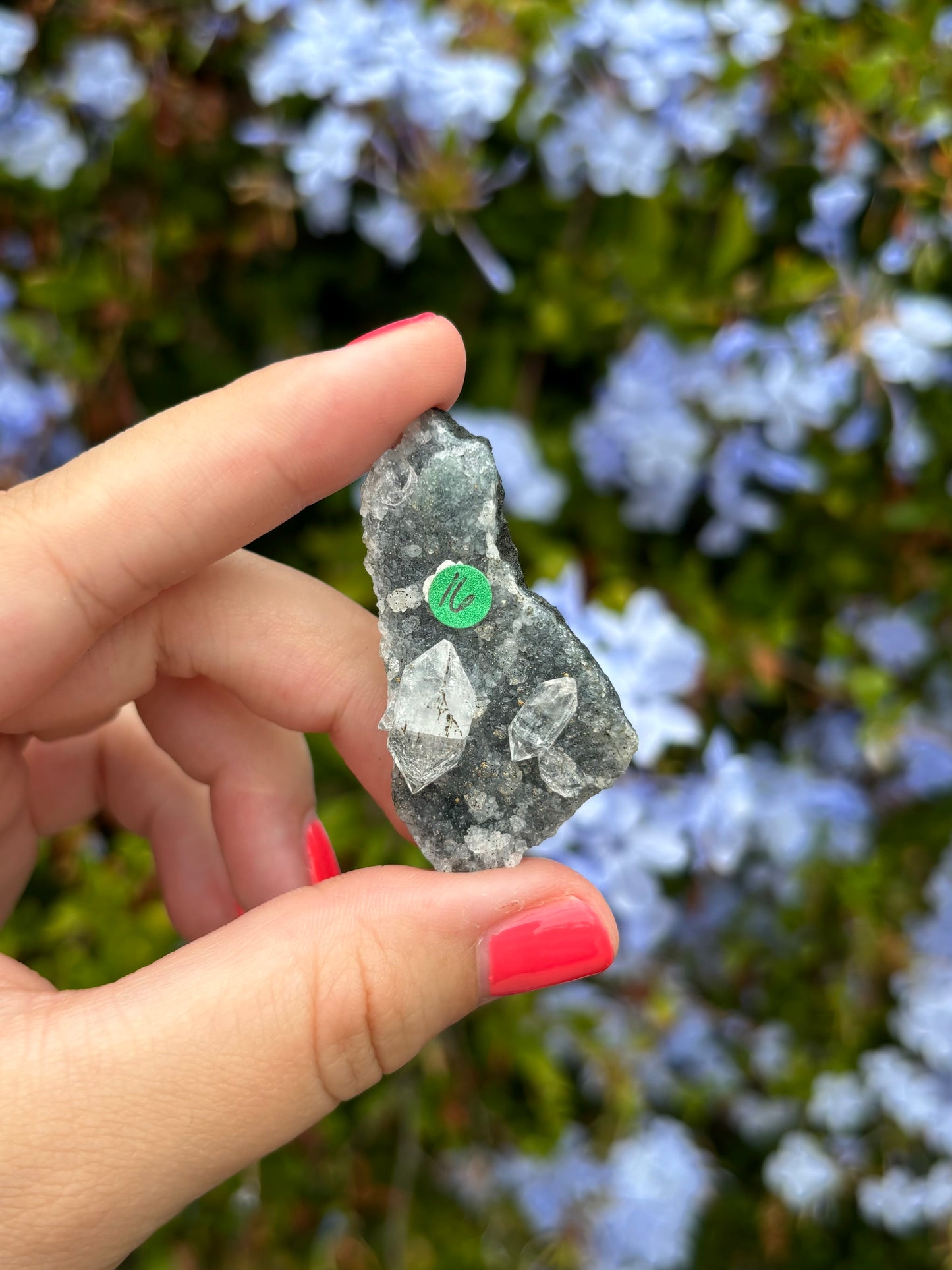 Black Chalcedony with Apophyllite clusters