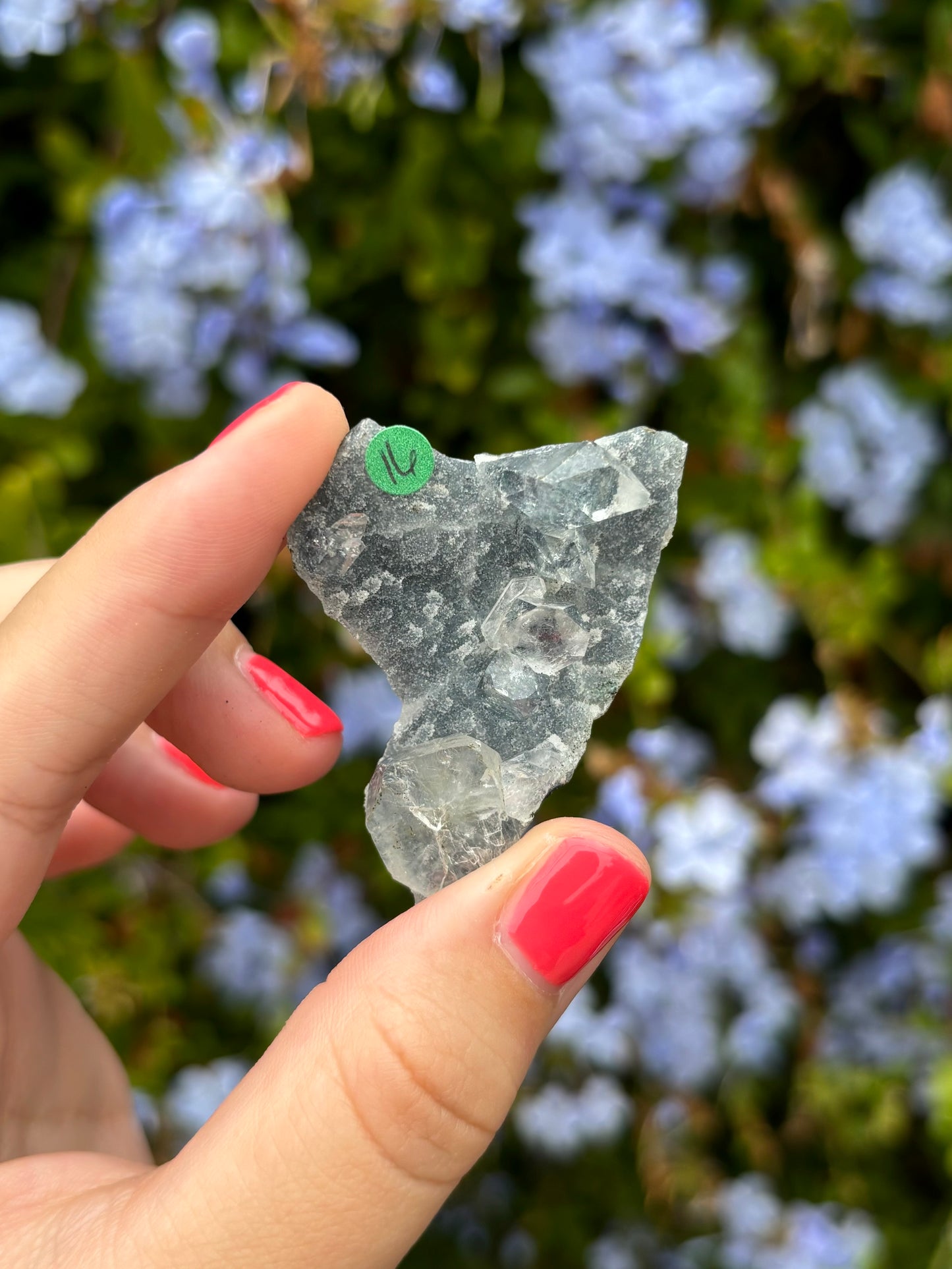 Black Chalcedony with Apophyllite clusters