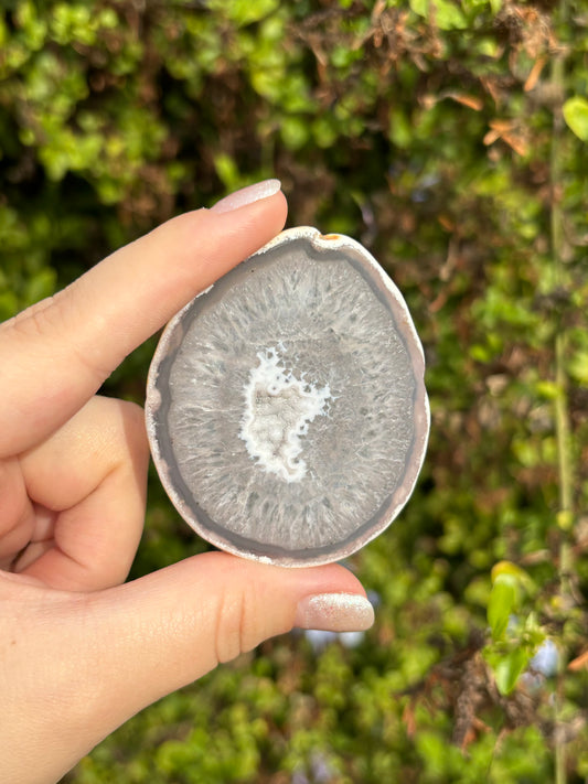 Mini Agate slices