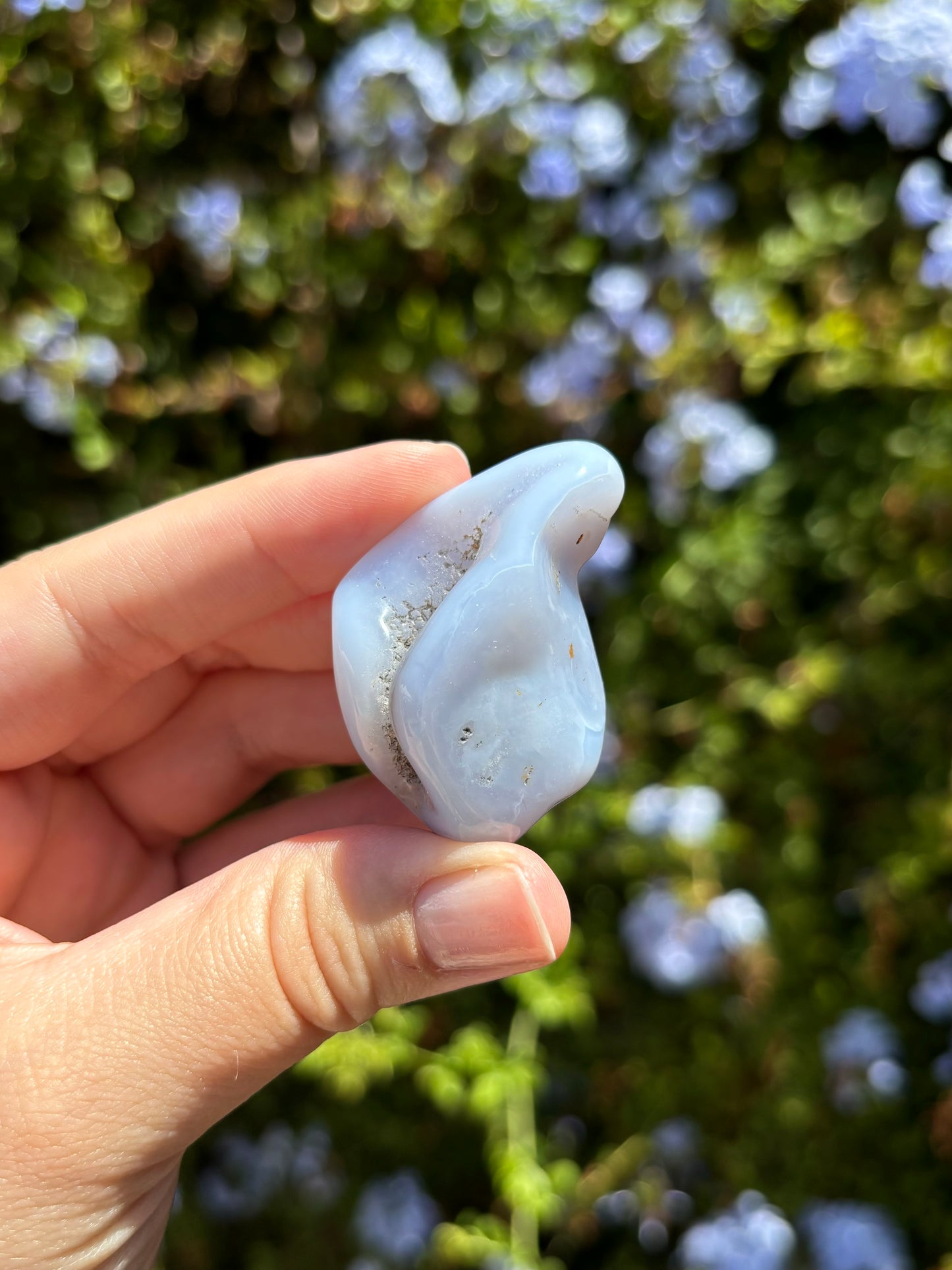 Blue Chalcedony freeforms