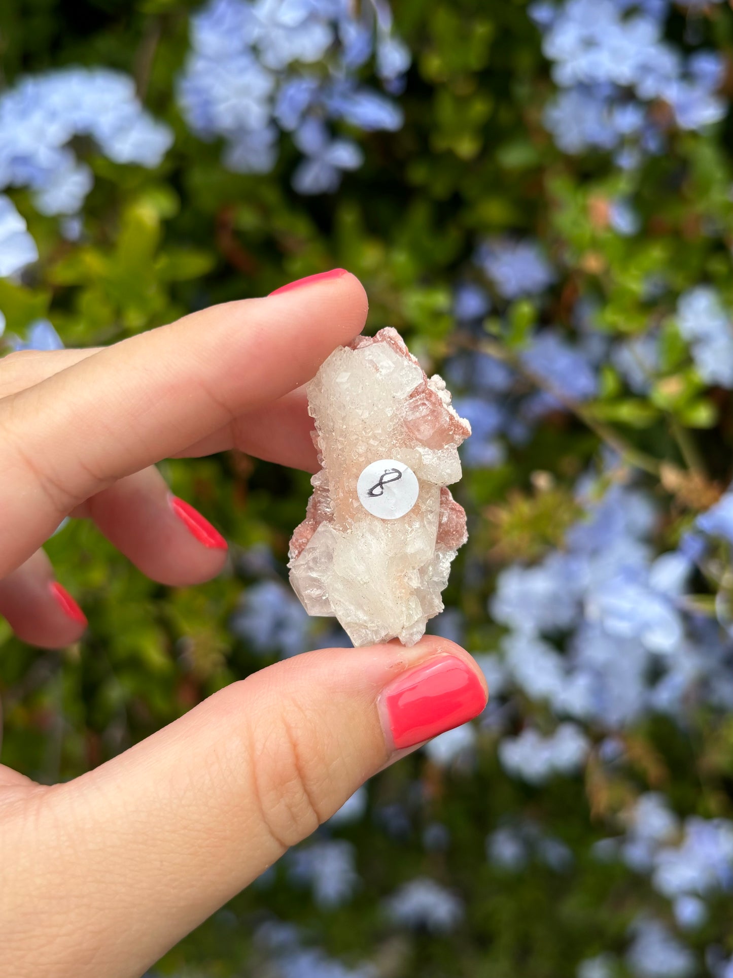 Pink Apophyllite clusters