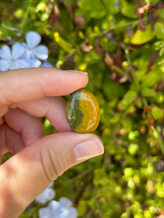 Ocean Jasper tumbles